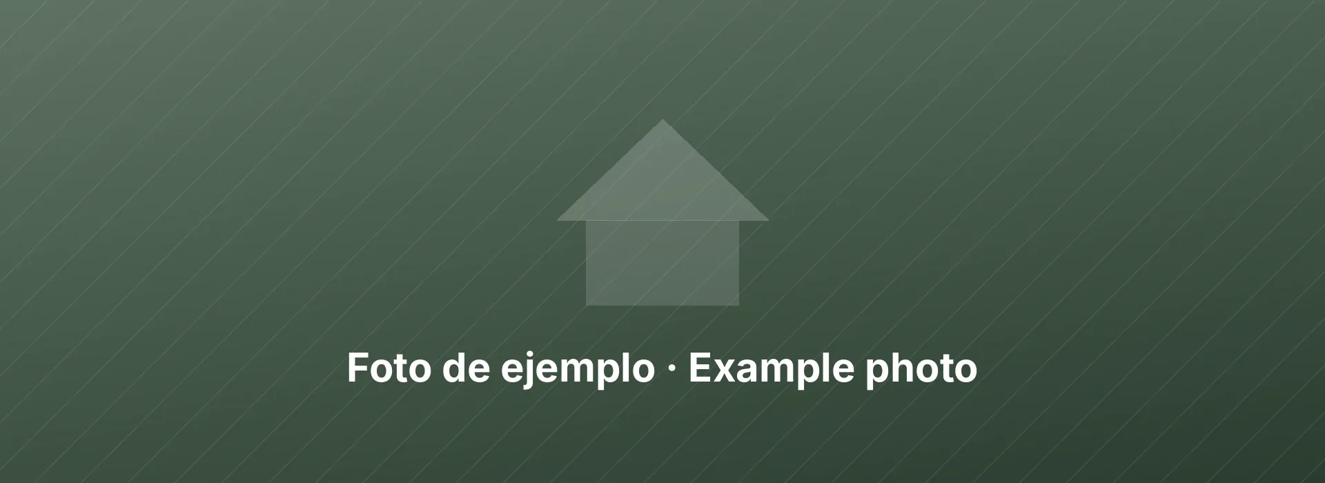 Foto de ejemplo · Example photo (placeholder image)