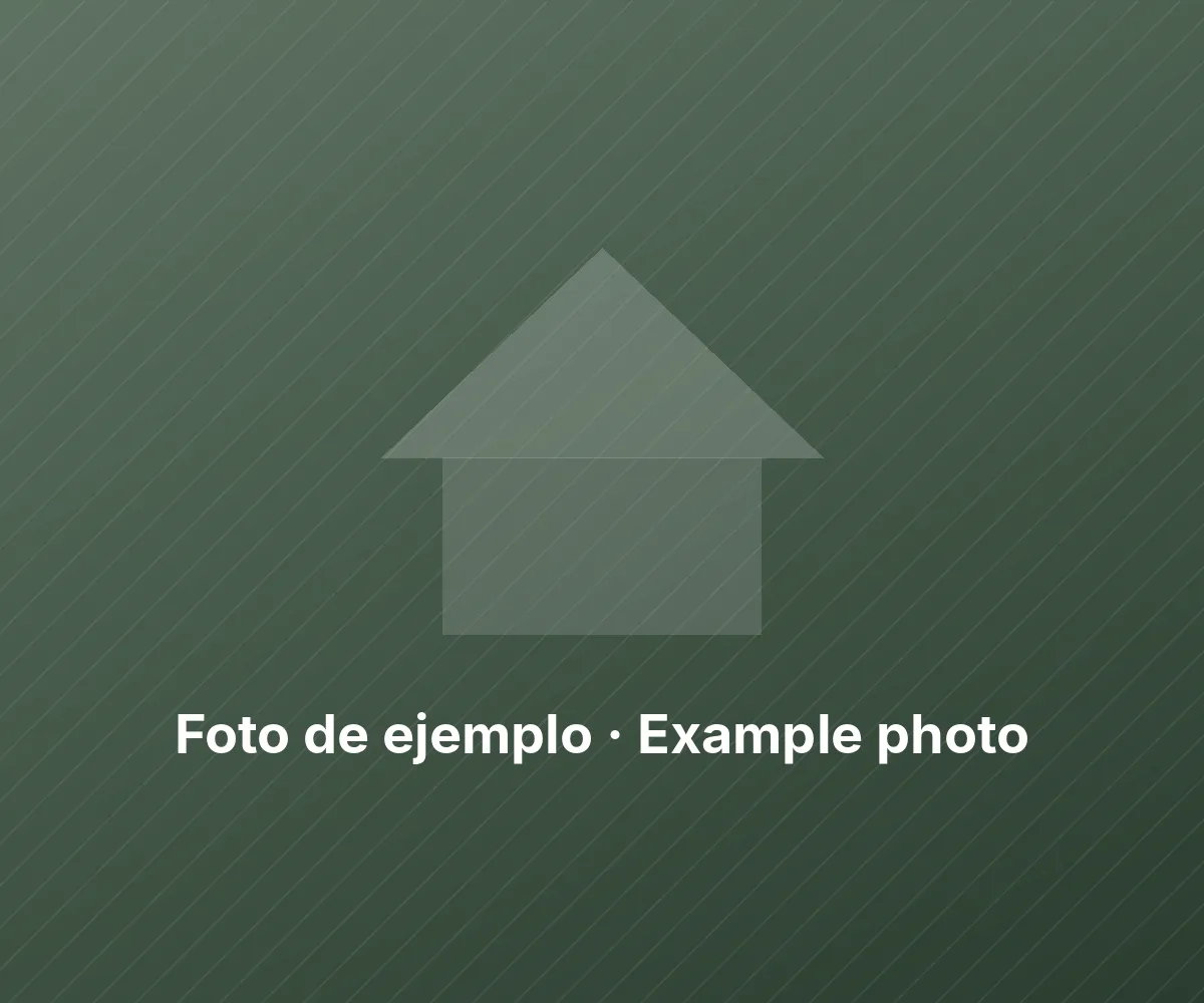 Foto de ejemplo · Example photo (placeholder image)
