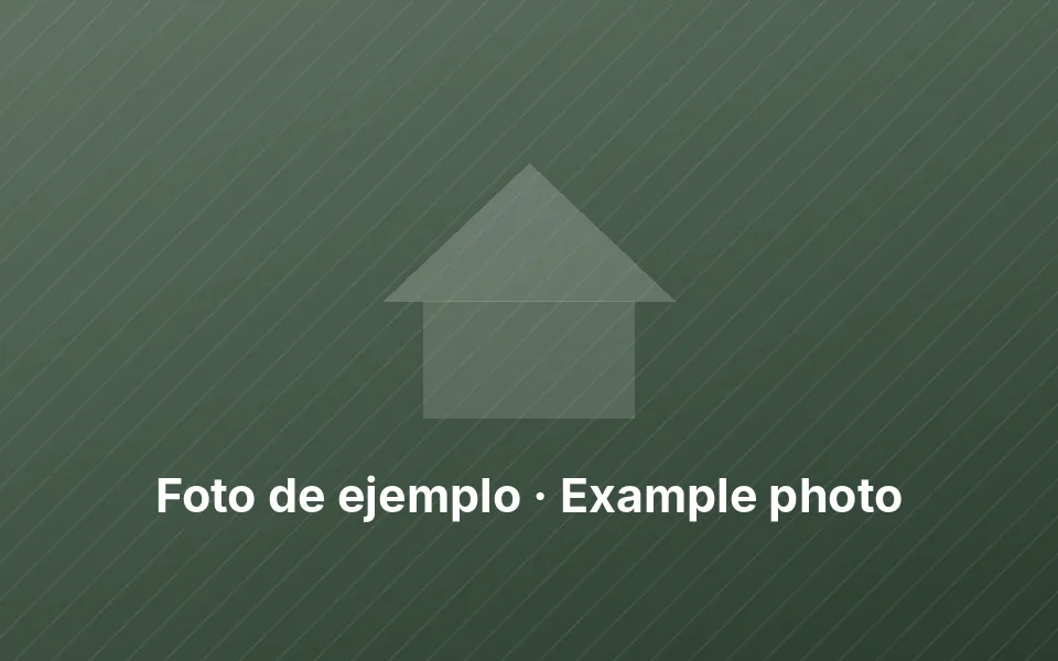 Foto de ejemplo · Example photo (placeholder image)
