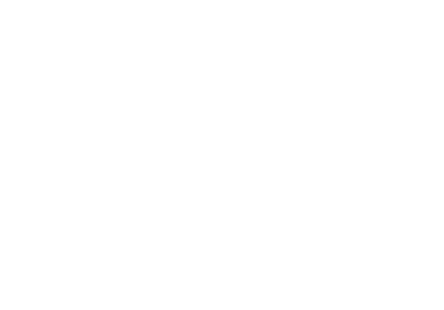Example certification